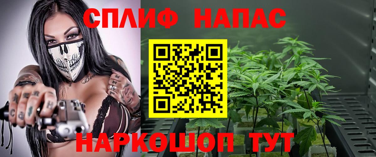 Бошки марихуана индика  Вход с VPN  Бошки марихуана Amnesia  Богородск 